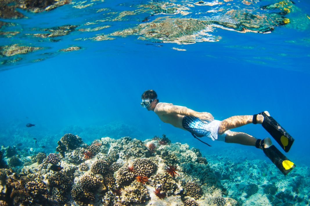 Snorkeling Underwater