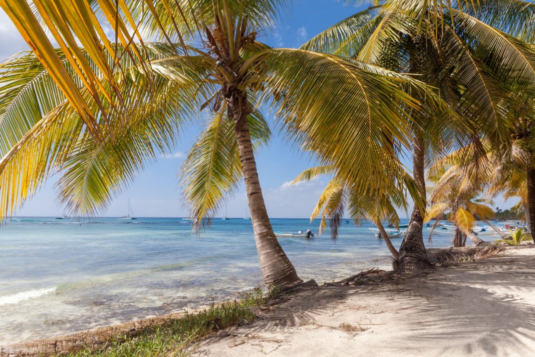 Tropical paradise in Dominican Republic. Palm trees near the sea. Relaxing holiday.