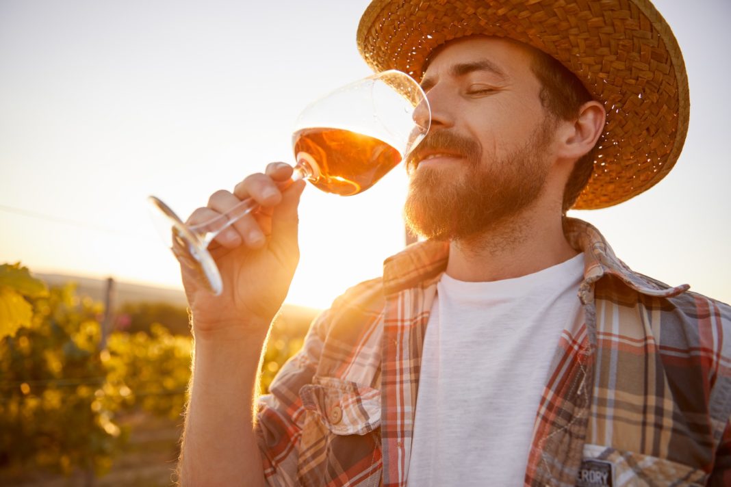 Winemaker with glass of wine in vineyard