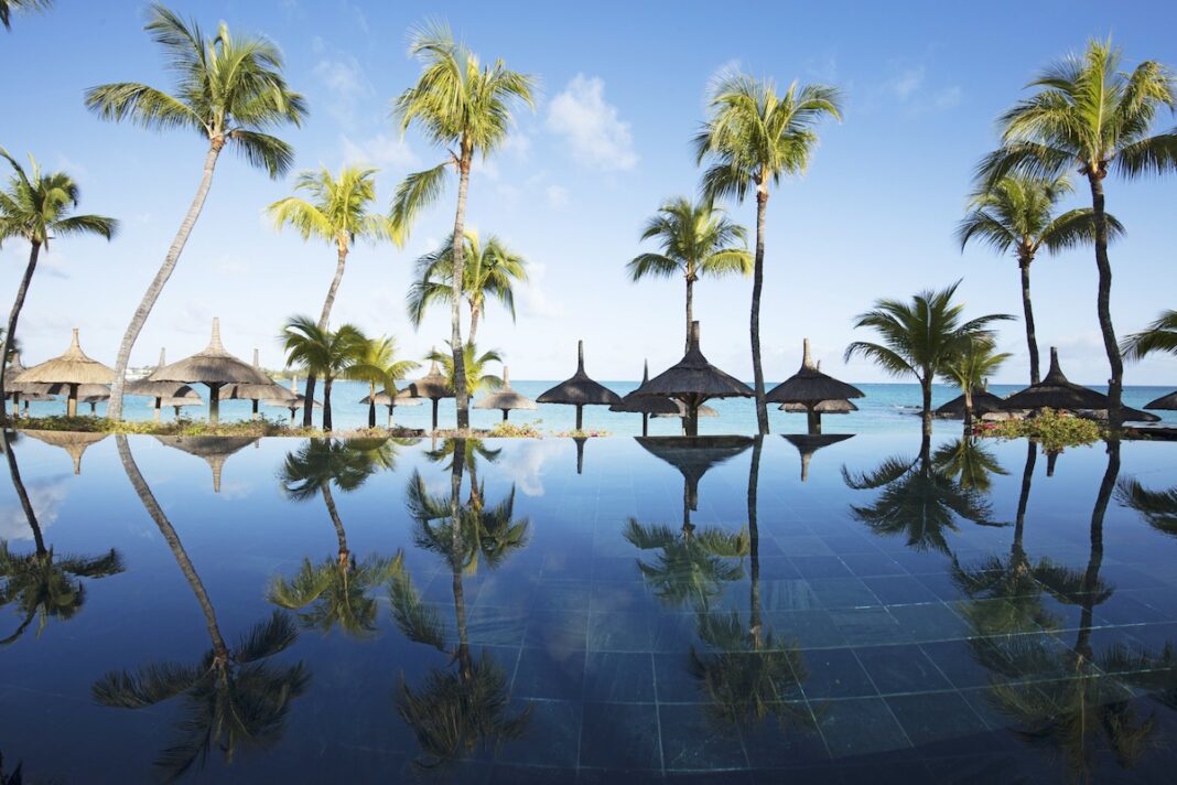 _l5a3082-royalpalm-jpg
